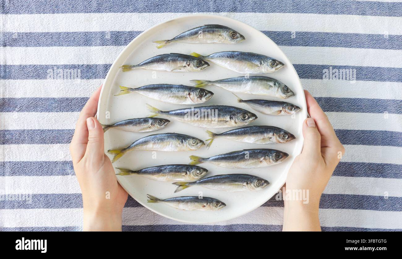 Sardine fresche sono disposte su un grande piatto bianco su un tovagliolo a strisce bianche e blu, il piatto è tenuto da due mani. Pesce fresco. Frutti di mare. Orientamento orizzontale Foto Stock