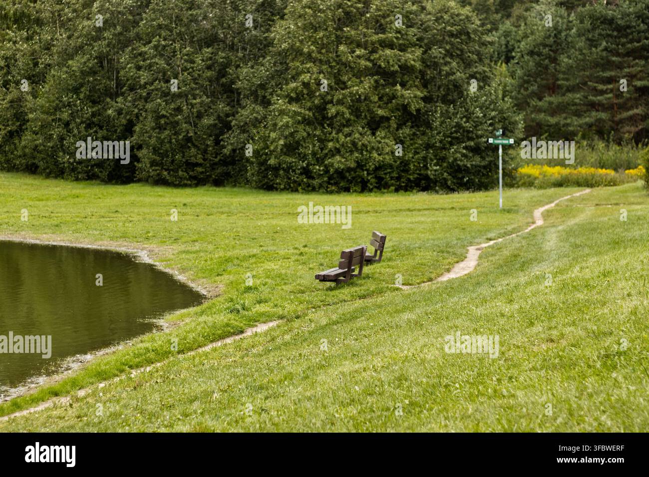 Panchine vicino al lago e sentiero in un parco verde Foto Stock
