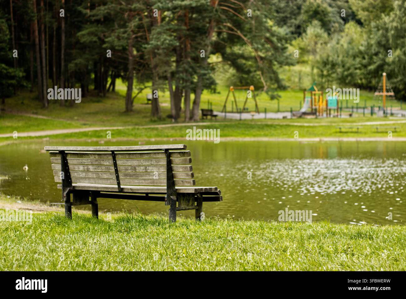 Panchina sul lago in un parco verde Foto Stock
