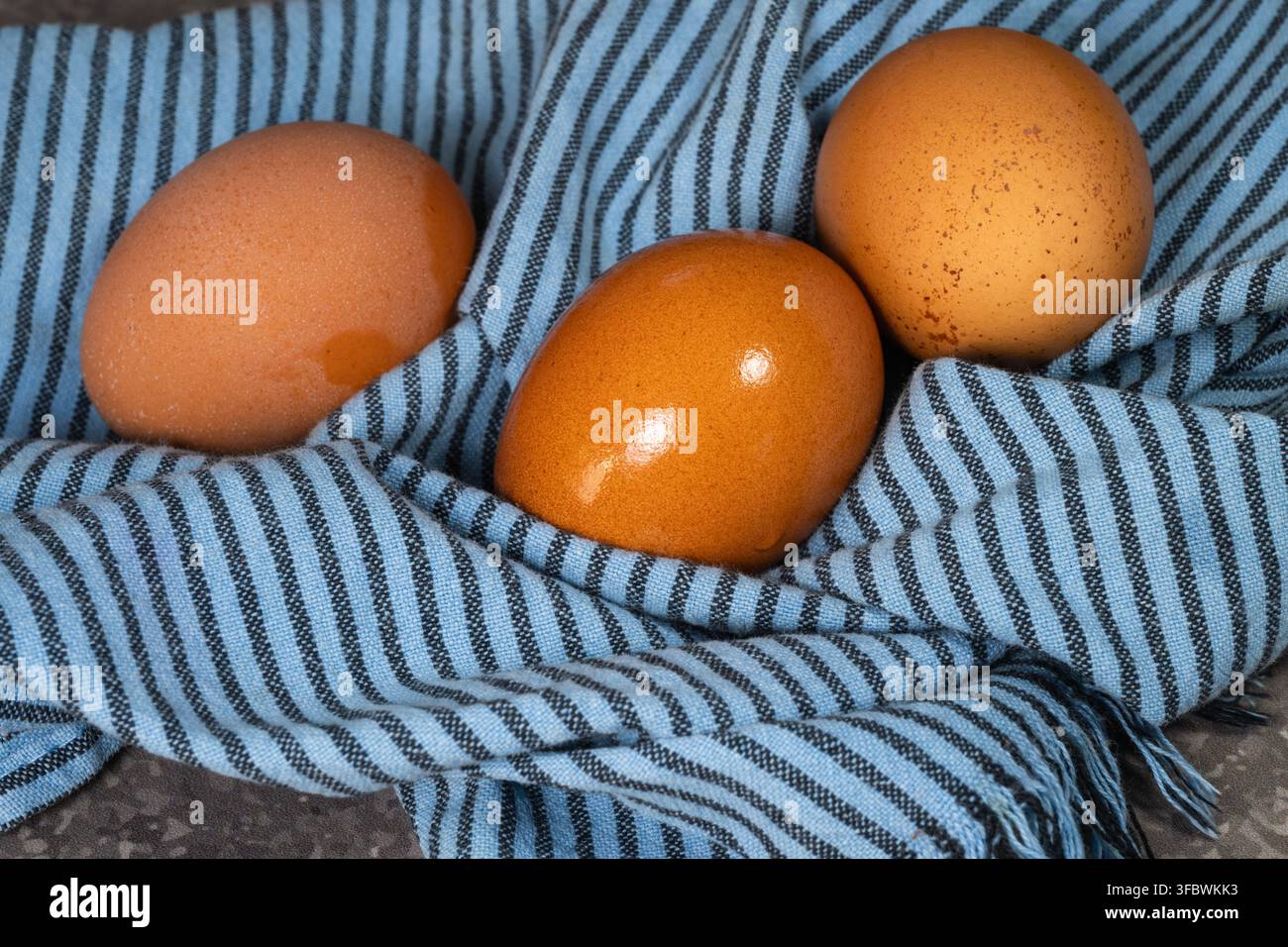 Tre uova marroni appoggiate su un asciugamano da cucina piegato a righe blu e nere. Foto Stock