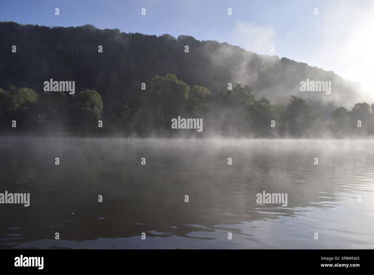 Bad Schandau, Schandau, Elba, nebbia, nebbia mattutina Foto Stock