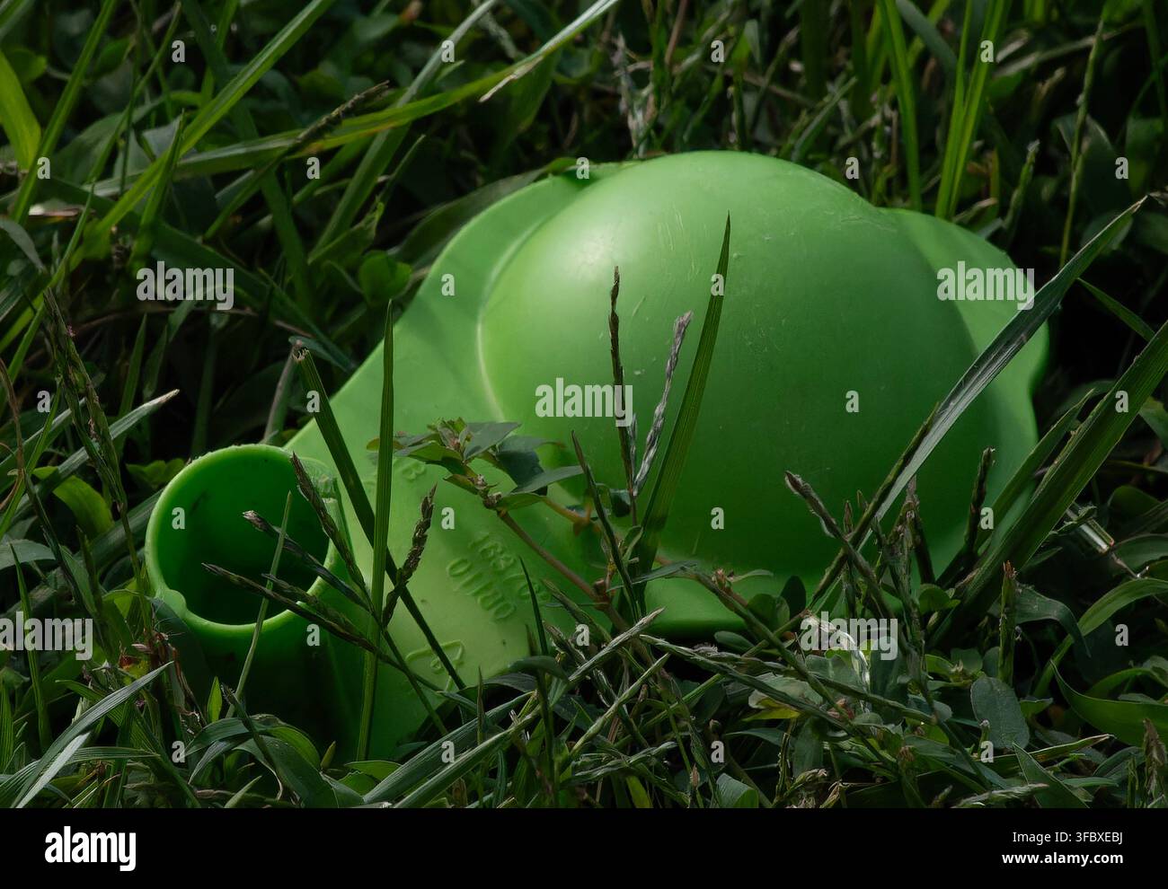 La regione selezionata sembra mostrare un annaffiatoio verde a forma di lumaca in plastica appoggiato sull'erba. Foto Stock