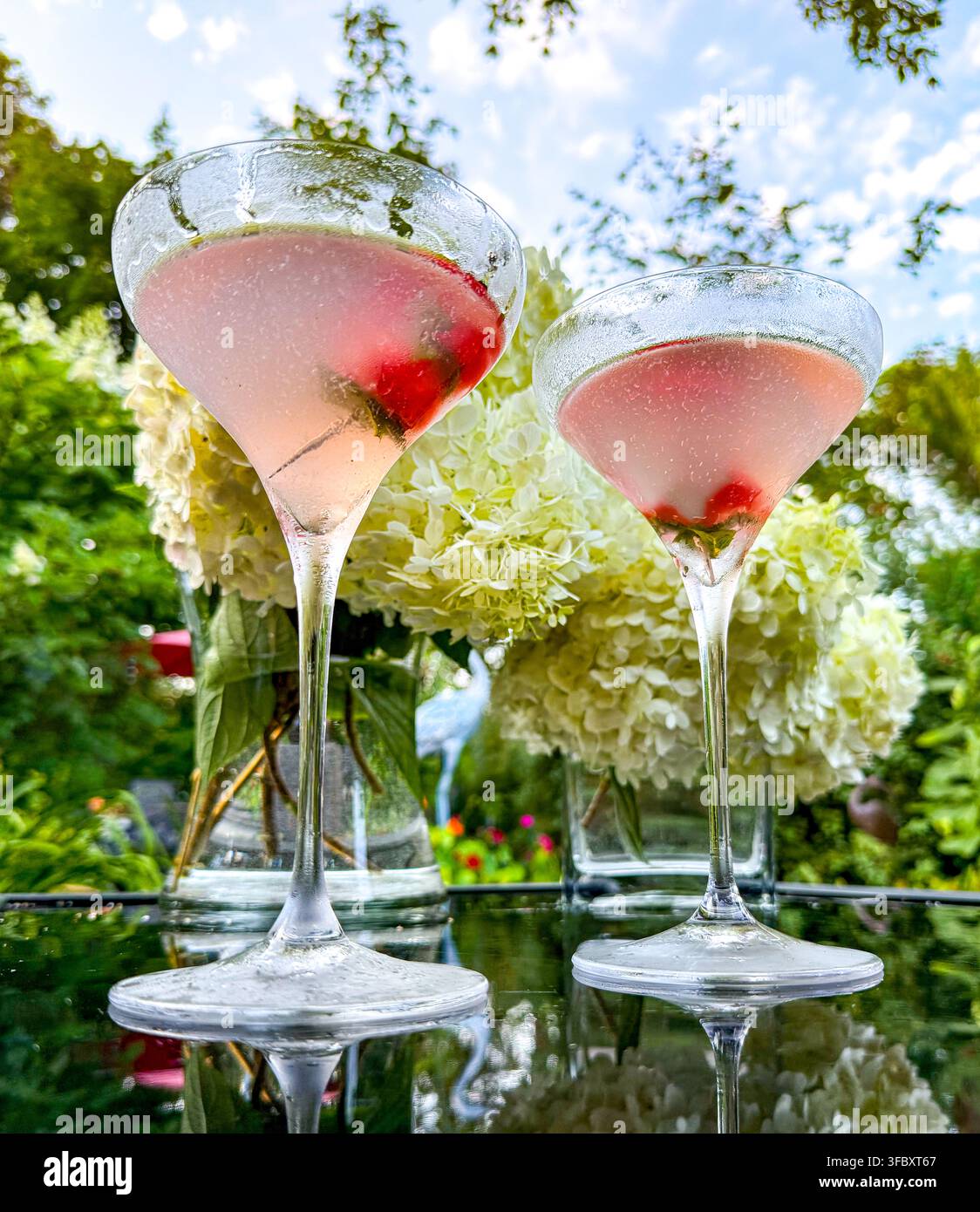 Cocktail di anguria rosa serviti in bicchieri da martini con guarnizione di anguria e menta su un tavolo di vetro all'aperto. Foto Stock
