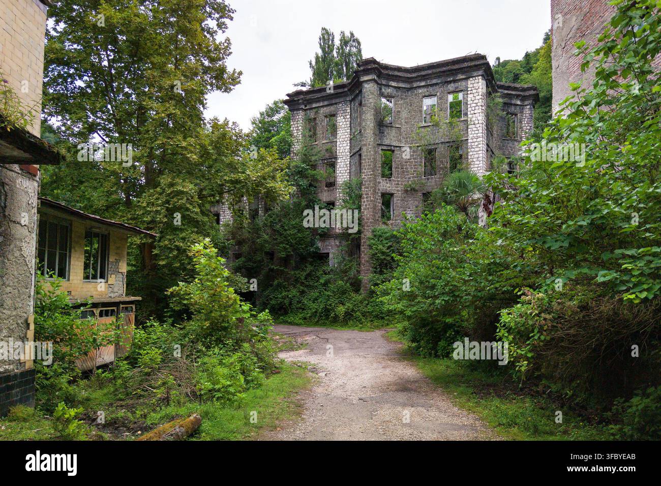 Edificio in pietra abbandonato a più piani ricoperto da vegetazione verde rigogliosa nella città di Akarmara, Abkhazia. La natura riprende l'antica architettura in rovina Foto Stock