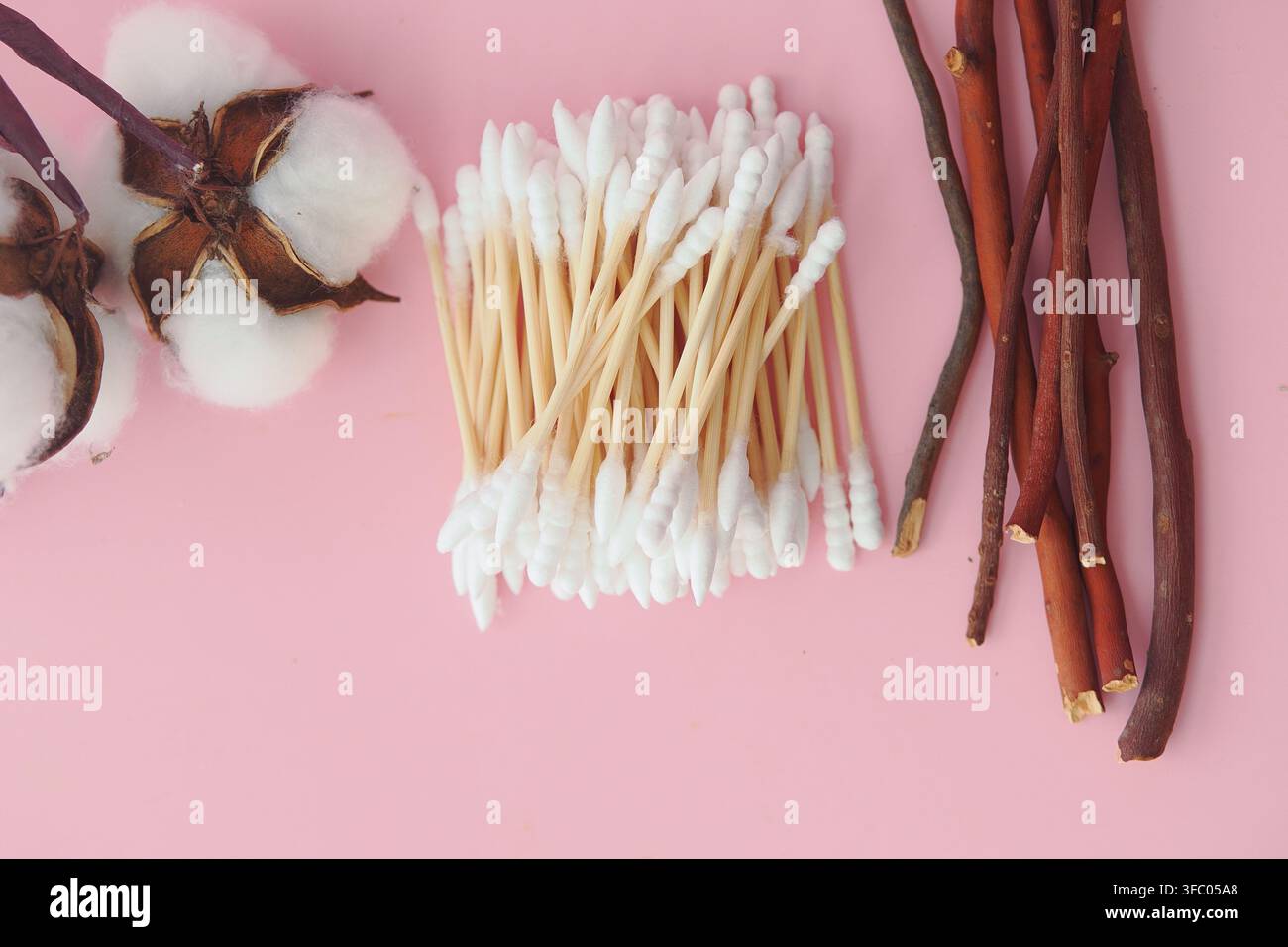 Tamponi di cotone naturali e capigli di cotone su sfondo rosa con bastoncini e rametti di legno Foto Stock