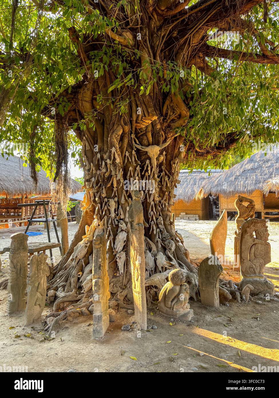 Albero cranio Marapu tradizionale a Kampung Raja Prailiu, Sumba orientale, Indonesia. Teschi di bufalo e sculture megalitiche in pietra sotto un albero baniano. Foto Stock
