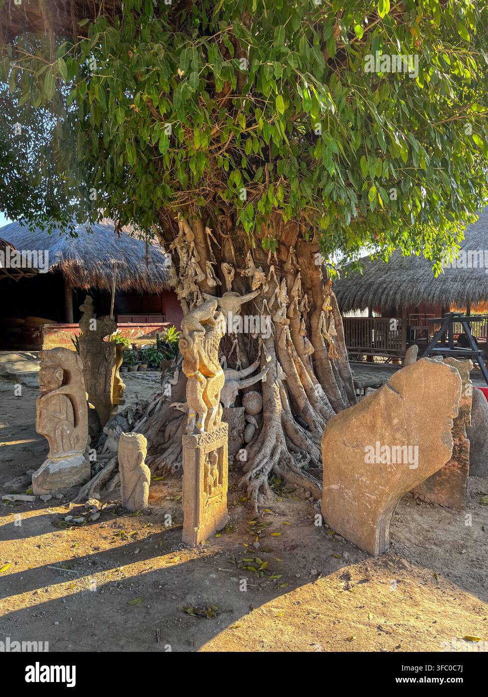 Albero cranio Marapu tradizionale a Kampung Raja Prailiu, Sumba orientale, Indonesia. Teschi di bufalo e sculture megalitiche in pietra sotto un albero baniano. Foto Stock