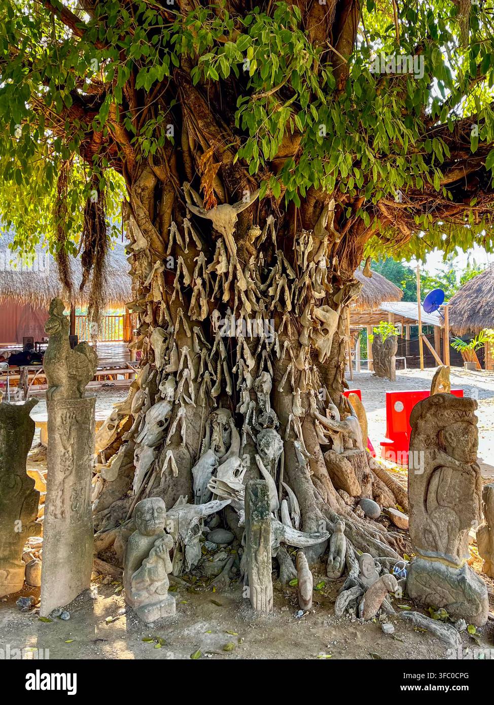 Albero cranio Marapu sacro adornato con ossa di animali a Sumba, Indonesia. Sculture megalitiche tradizionali in pietra e sfondo di villaggio tribale. Foto Stock