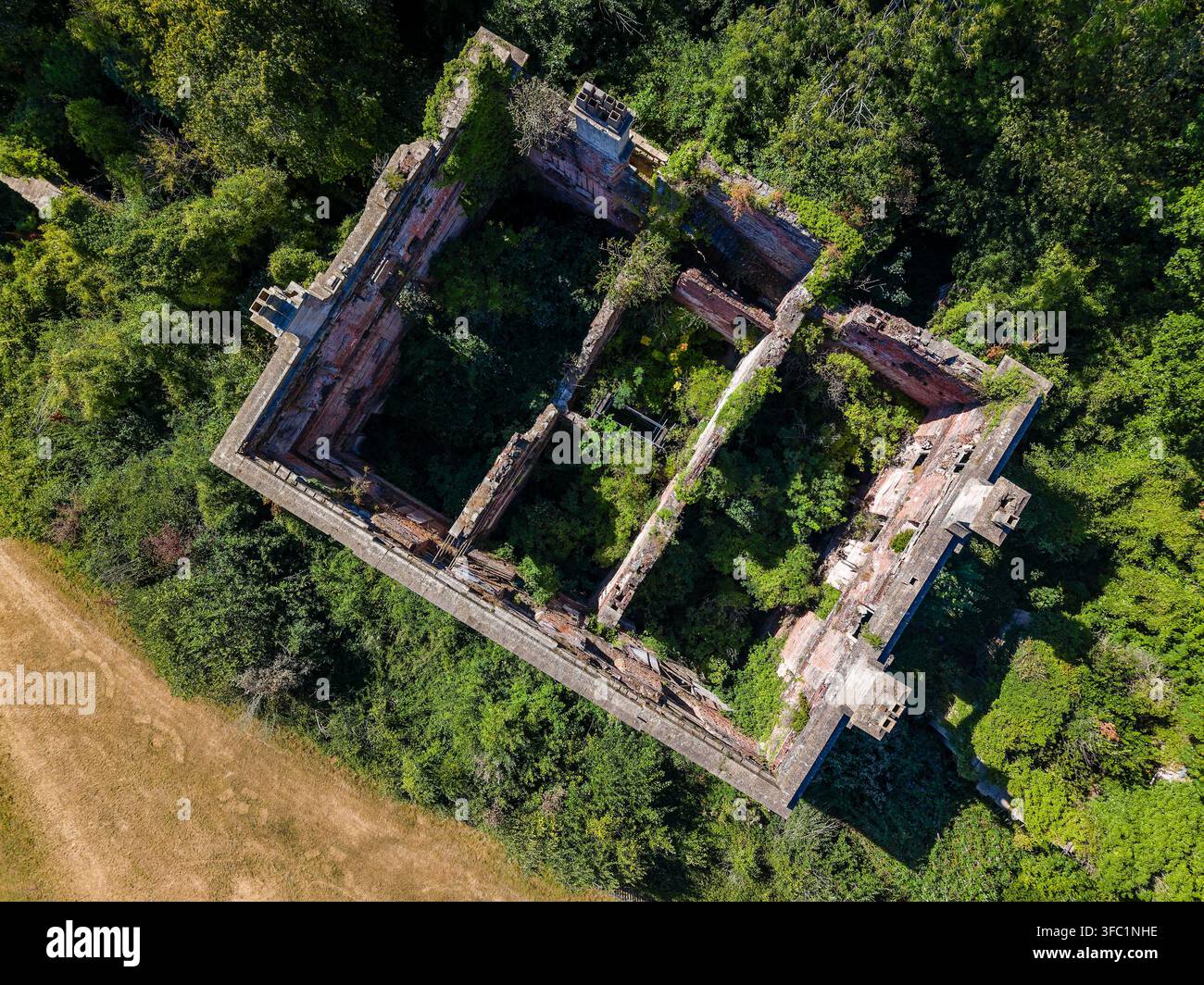 Vista drone che guarda direttamente nella rovina senza tetto di una dimora signorile, una fitta chioma forestale circonda la struttura in pietra fatiscente su un prato secco ed Foto Stock
