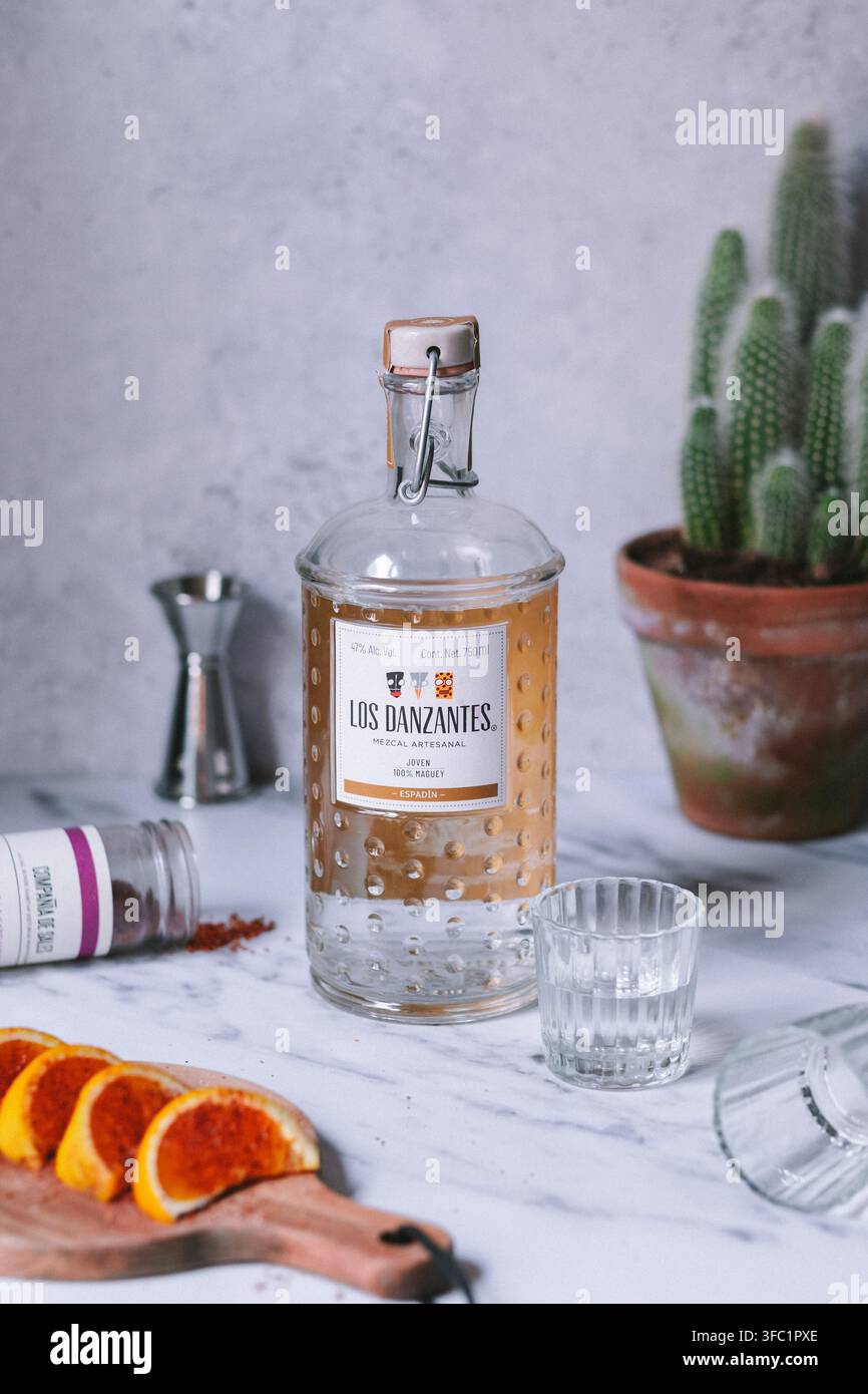 Bottiglia di mezcal con un misurino, un bicchiere e un cactus in un vaso di terracotta accanto a fette di arancia rossa su marmo bianco, bar domestico con liquori messicani Foto Stock