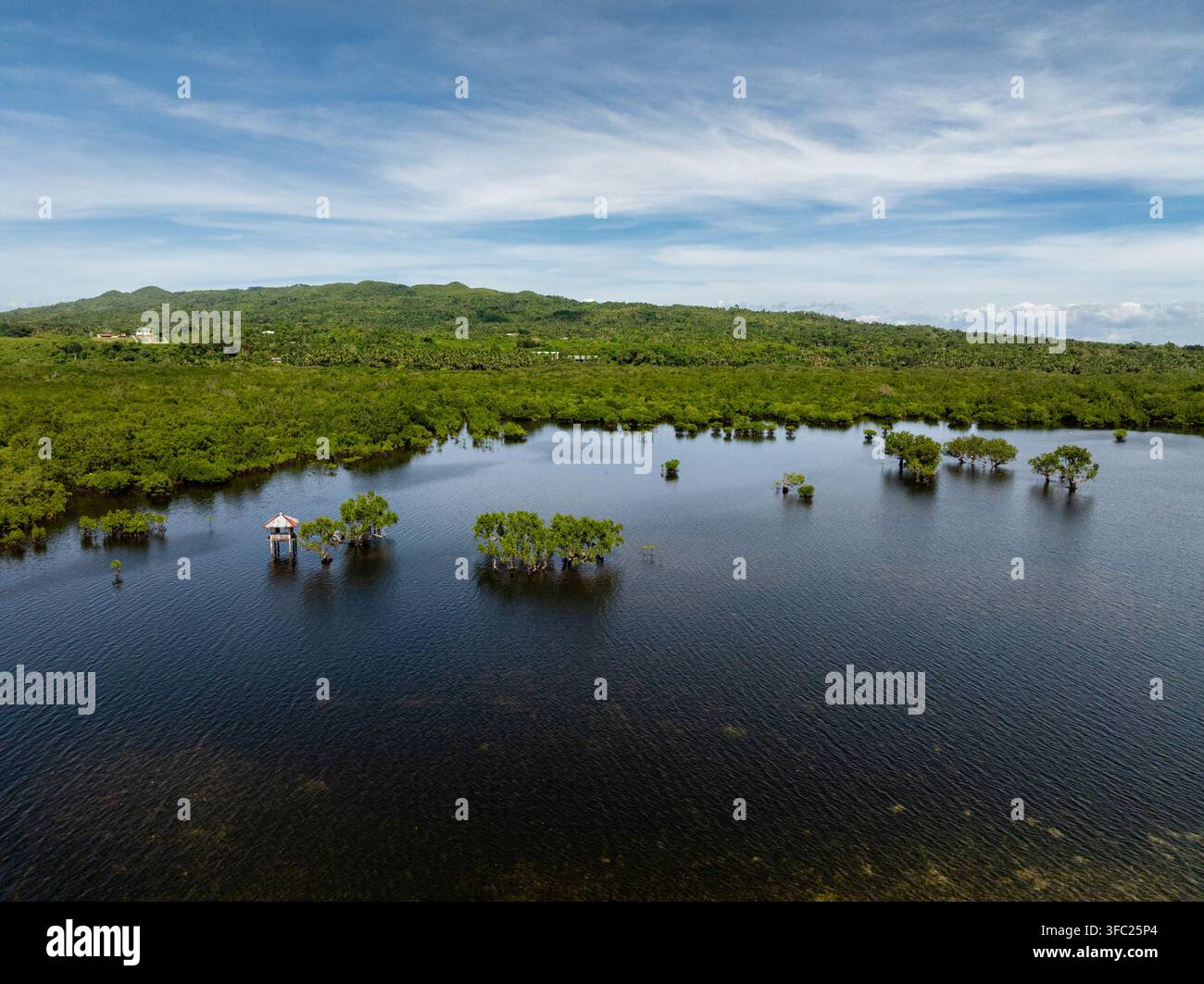 Lago di mangrovie con alberi sparsi e sfondo montuoso sotto un cielo luminoso. Camotes, Filippine. Foto Stock