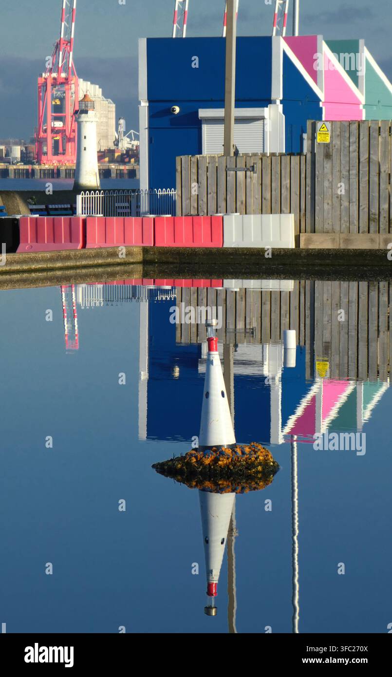 Riflessi in uno stagno immobile, utilizzato come lago per modellini di barche. Immagine a forma di ritratto. Foto Stock