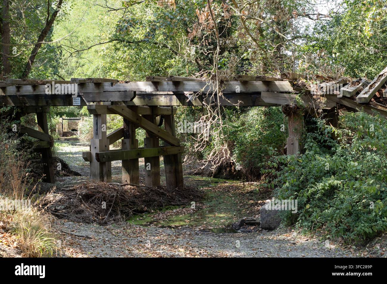 Viadotto ferroviario a tralicci in legno di Wickham Bishops, l’unico esempio noto di viadotto ferroviario a tralicci in legno sopravvissuto. Foto Stock