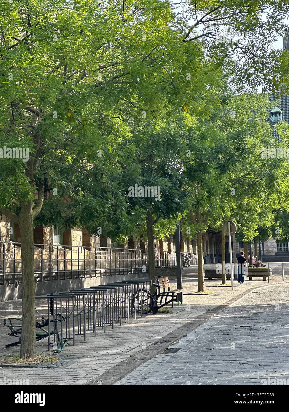Vicolo cittadino ombreggiato con rastrelliere per biciclette e alberi rigogliosi lungo un edificio storico. Piacevole vicolo urbano con una rastrelliera per biciclette vuota. - Immagine stock catturata con smartphone
