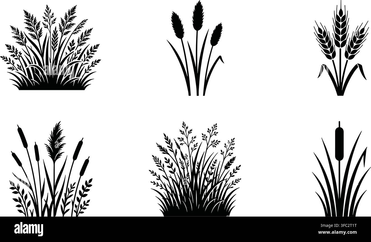 Set di vettori a silhouette nera di varie erbe comuni di zone umide e da giardino, illustrazione per scopi di design. Illustrazione Vettoriale