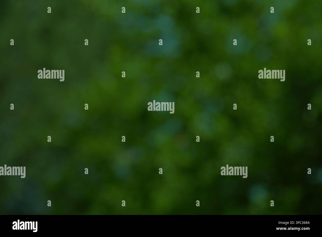 Sfondo bokeh sfocato di foresta verde. Texture sfocata astratta di foresta scura. Foto Stock