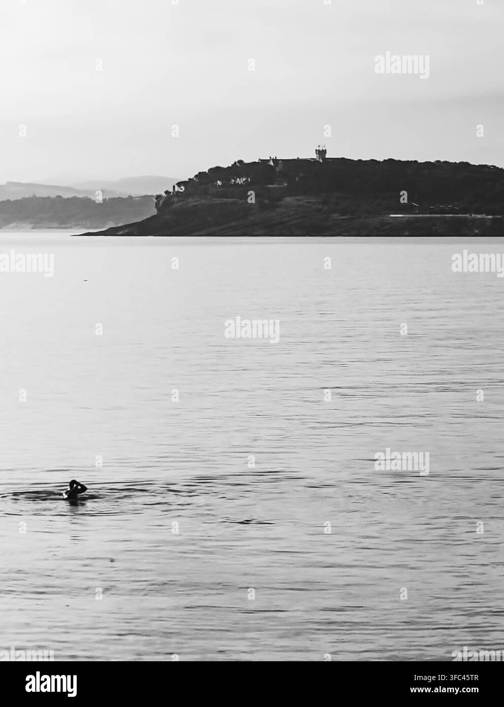 Solitudine. Catturato in Cantabria, Spagna. Foto Stock
