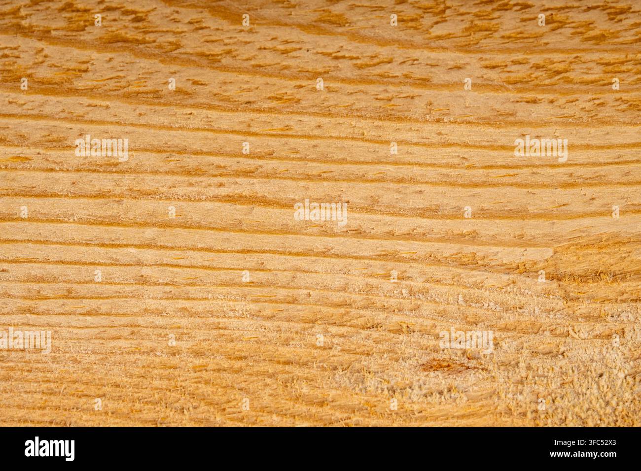 Macro dettagliata di una superficie di tela da falegnameria realizzata in legno naturale pressato o levigato. Foto Stock