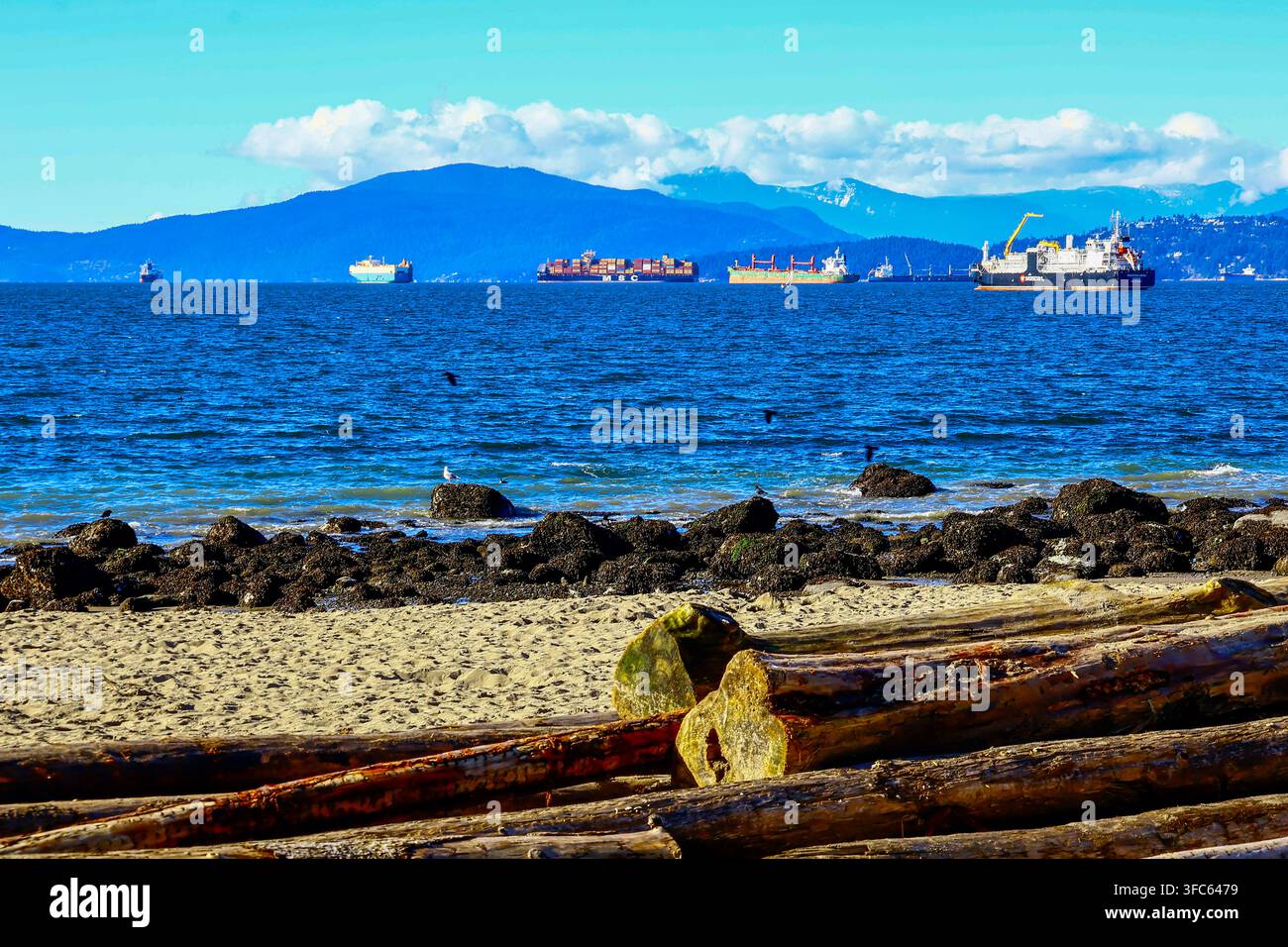 Troncidi spiaggia lungo Hadden Beach con navi mercantili al largo nella English Bay, Kitsilano, Vancouver, BC. Foto Stock