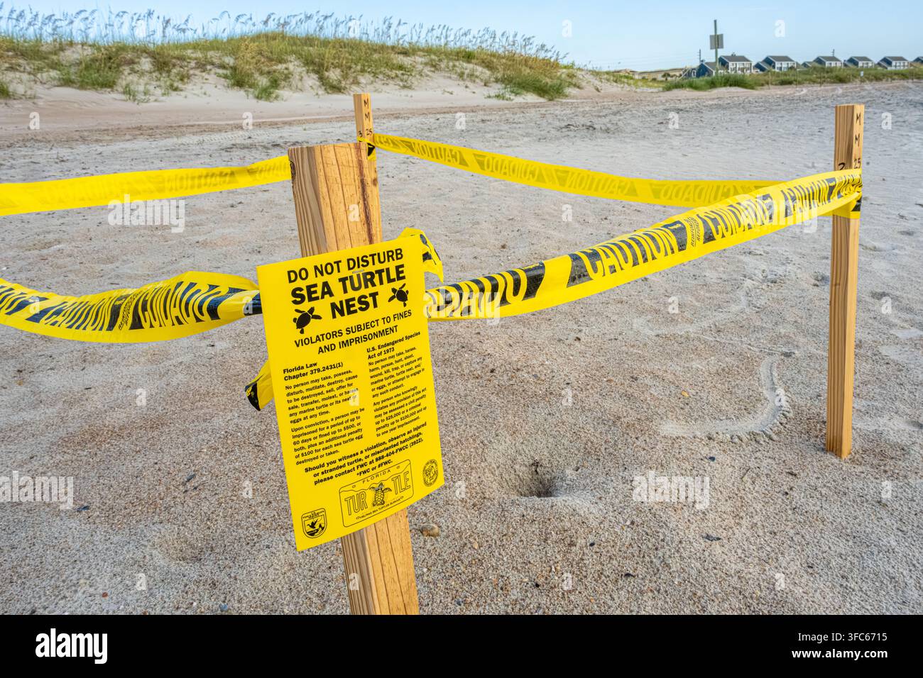 Nido protetto di tartarughe marine a Fernandina Beach sull'isola di Amelia, nel nord-est della Florida. (USA) Foto Stock