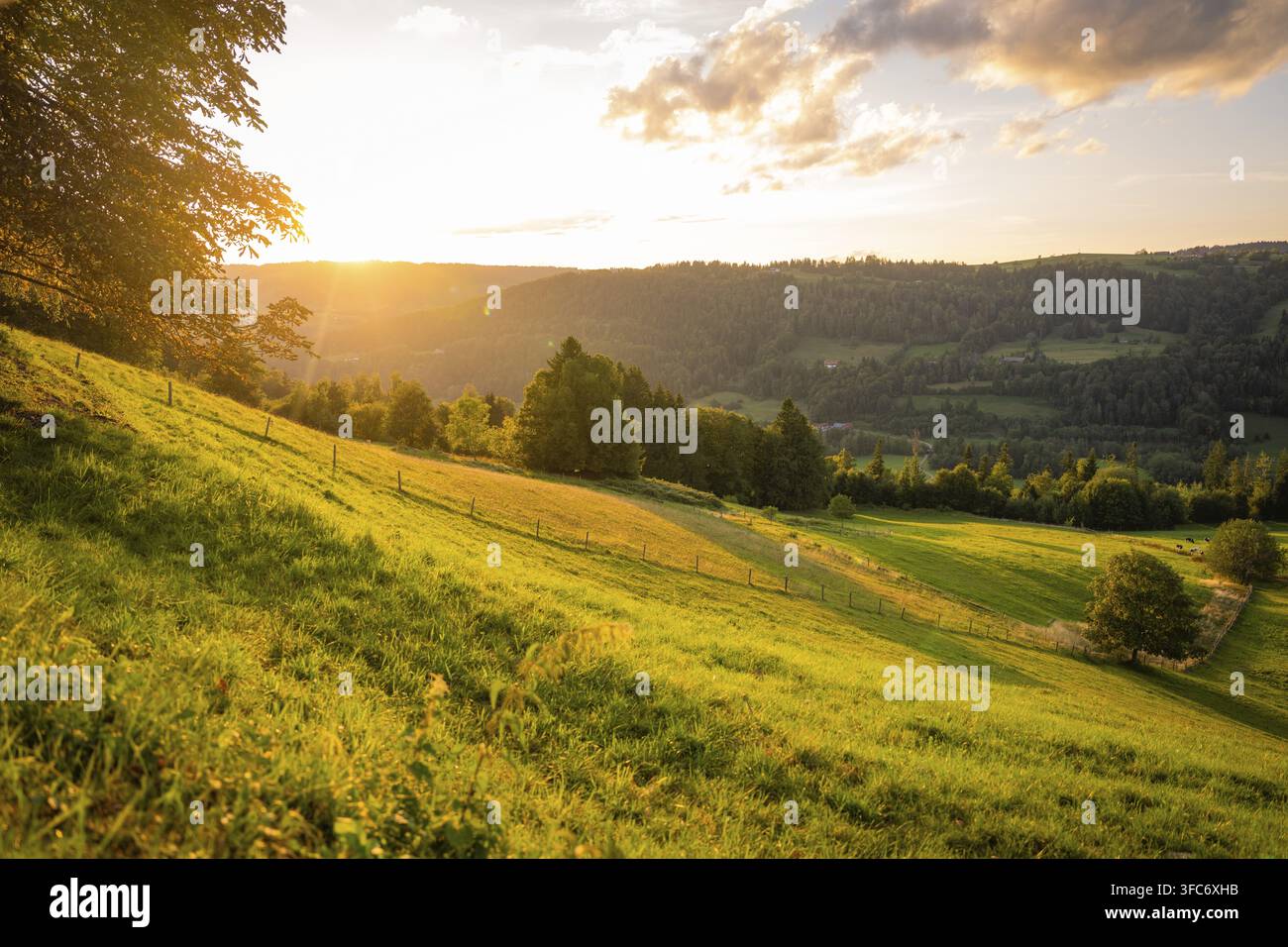 Paesaggio collinare con vaste praterie nel calore del tramonto, regione di Oberstaufen, Allgäu, Bavaria, Germania Foto Stock