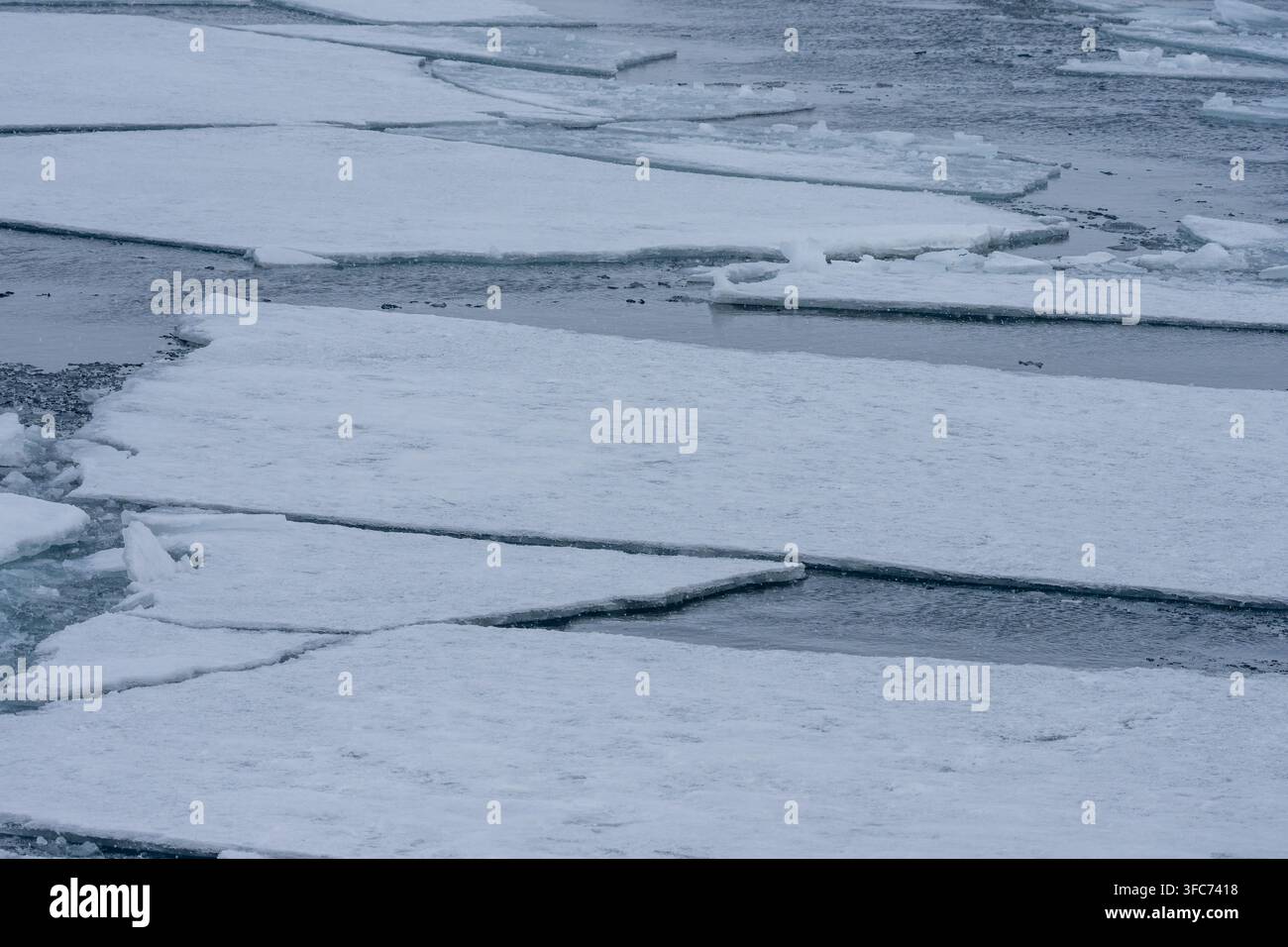 Paesaggio artico blu con una fronte glaciale, ghiaccio coperto di neve e uccelli marini distanti a Svalbard, Norvegia. Foto Stock