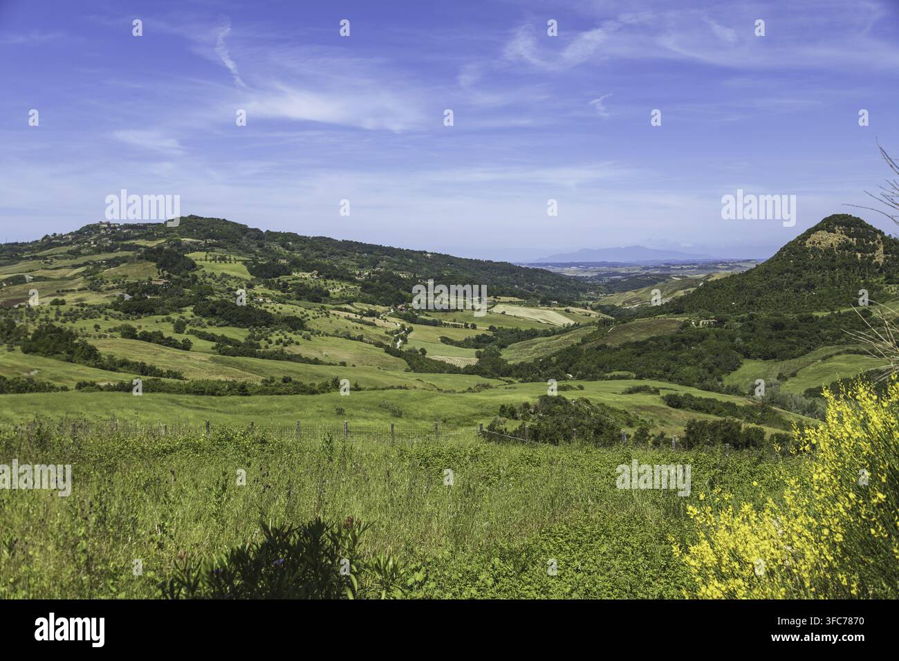 Vista su una meravigliosa valle toscana Foto Stock