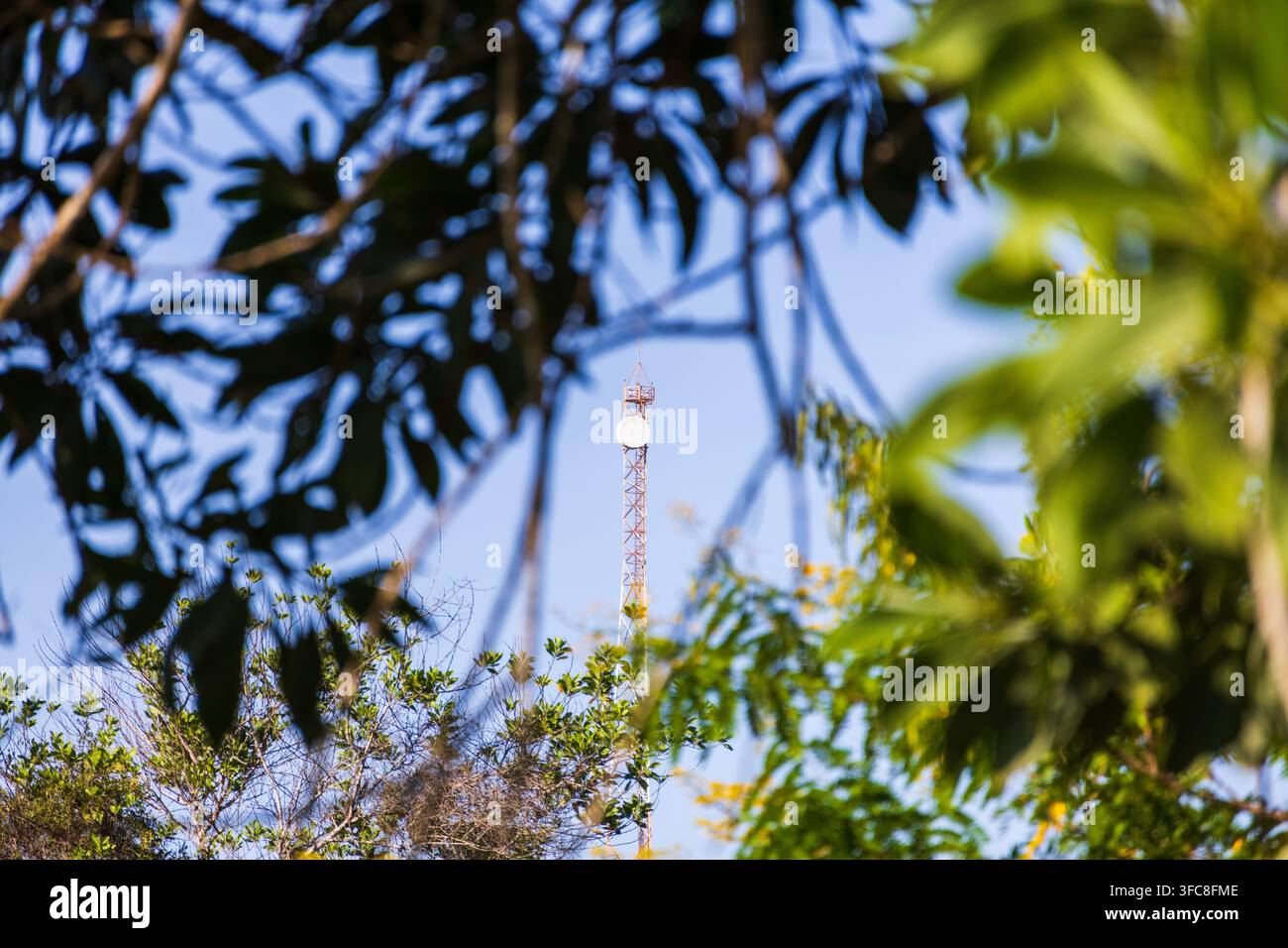 Torre di comunicazione incorniciata da alberi verdi rigogliosi, fogliame e rami sotto un cielo blu limpido Foto Stock