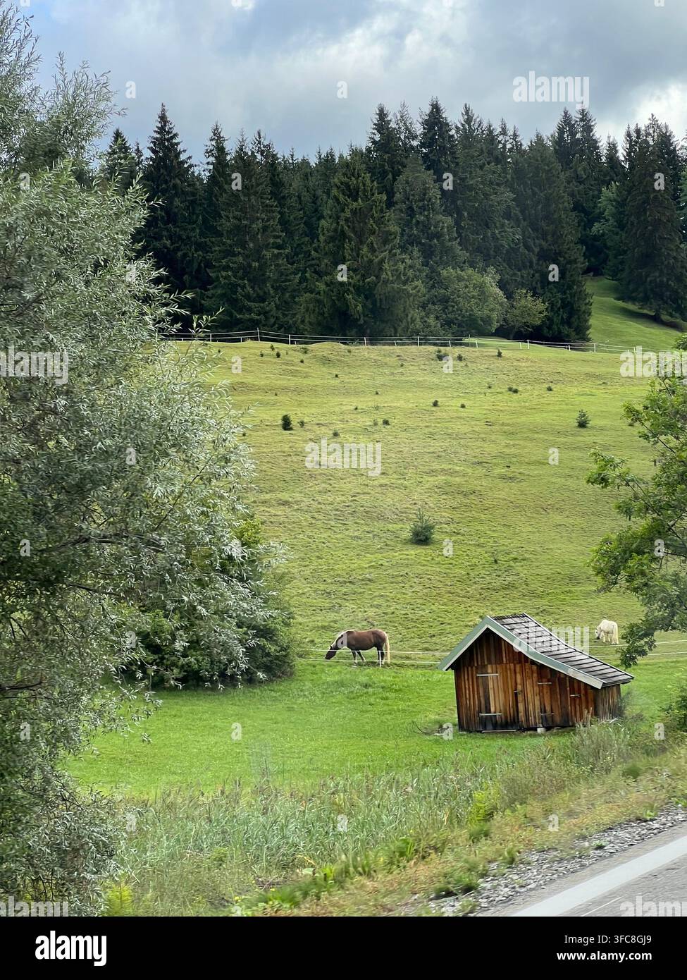 Viaggio panoramico sulle strade delle Alpi austriache, con strade di montagna, foreste, valli e splendidi paesaggi naturali in Austria. - Immagine stock catturata con smartphone