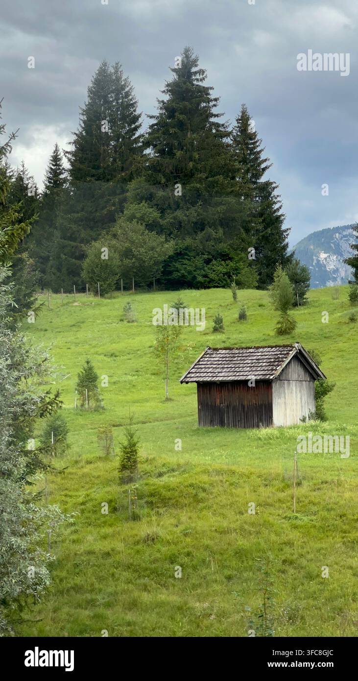 Viaggio panoramico sulle strade delle Alpi austriache, con strade di montagna, foreste, valli e splendidi paesaggi naturali in Austria. - Immagine stock catturata con smartphone