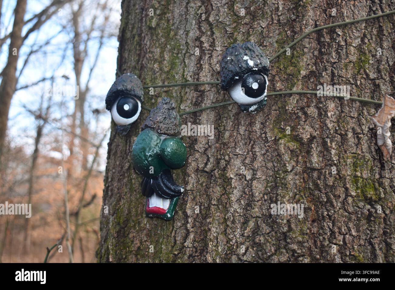 Gli alberi hanno occhi! E un naso e una bocca! Appesa a uno degli alberi del Big Cypress Tree State Park a Greenfield, TN, c'è questa esibizione comica. Foto Stock