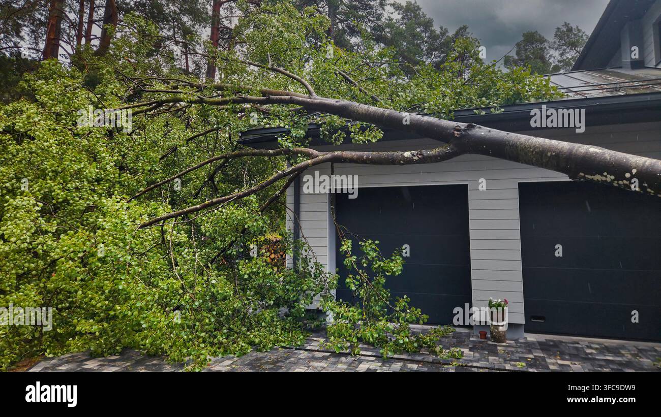Albero caduto sul tetto della casa dopo una tempesta. Danni da uragano, assicurazione dei beni Foto Stock