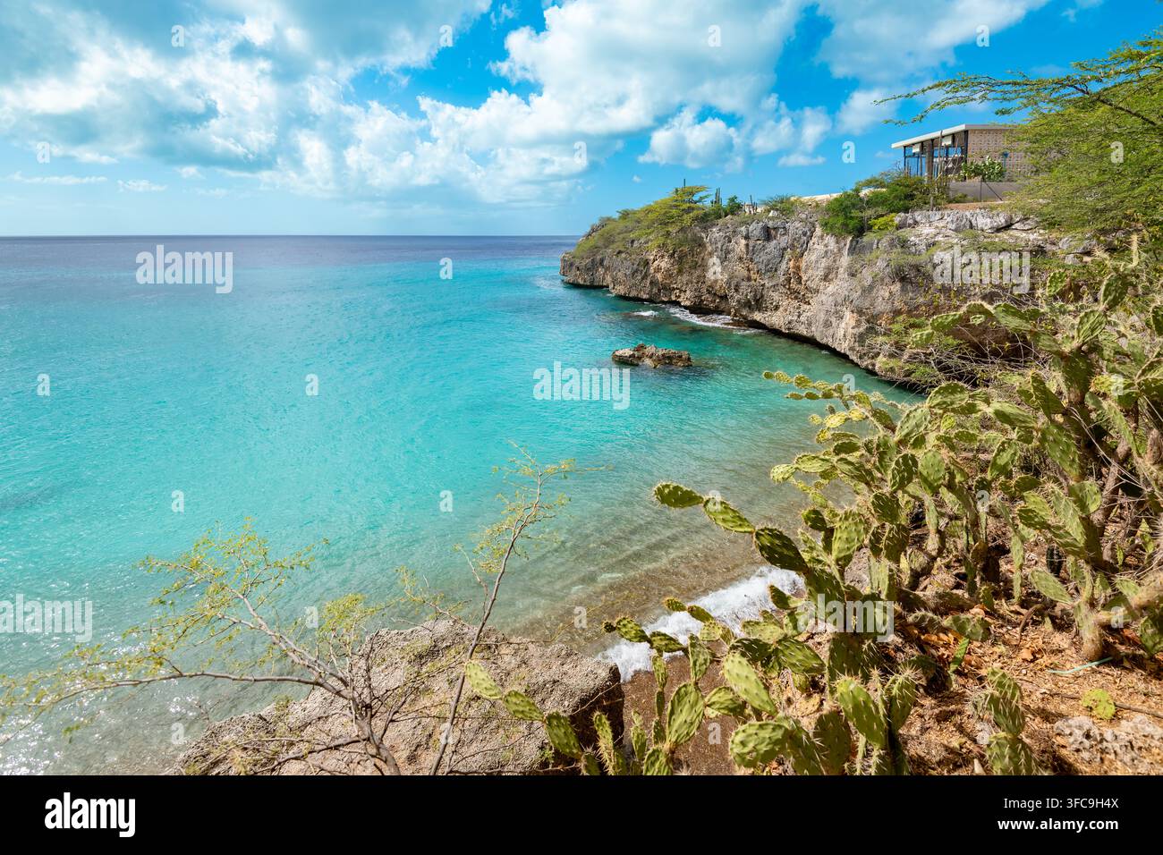 Le acque turchesi e le scogliere rocciose costiere incorniciate da piante di cactus verdi lungo la riva della spiaggia di Jeremi a Curaçao. Foto Stock