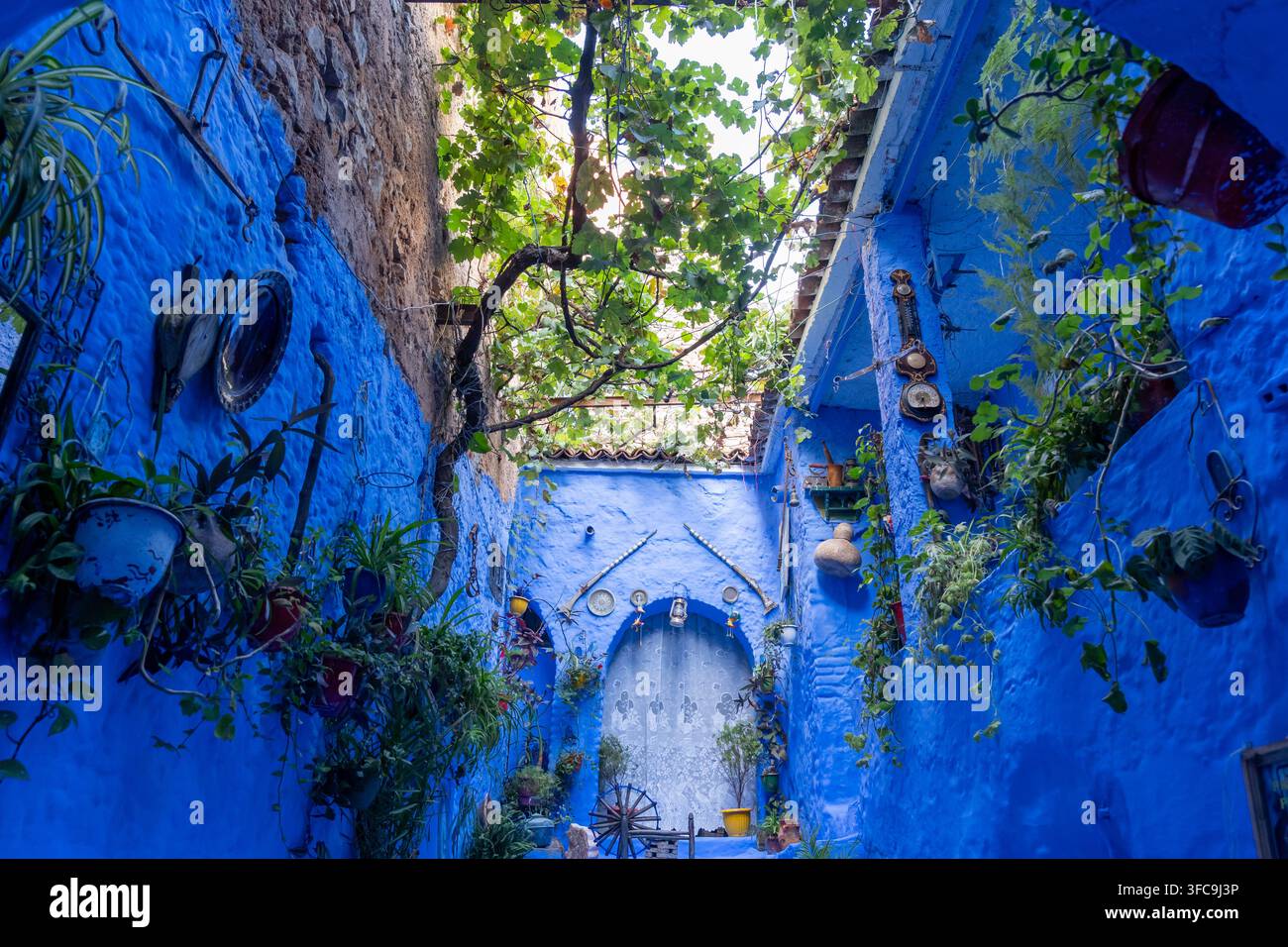 Un piccolo cortile colorato di blu a Chefchaouen, Marocco. Foto Stock
