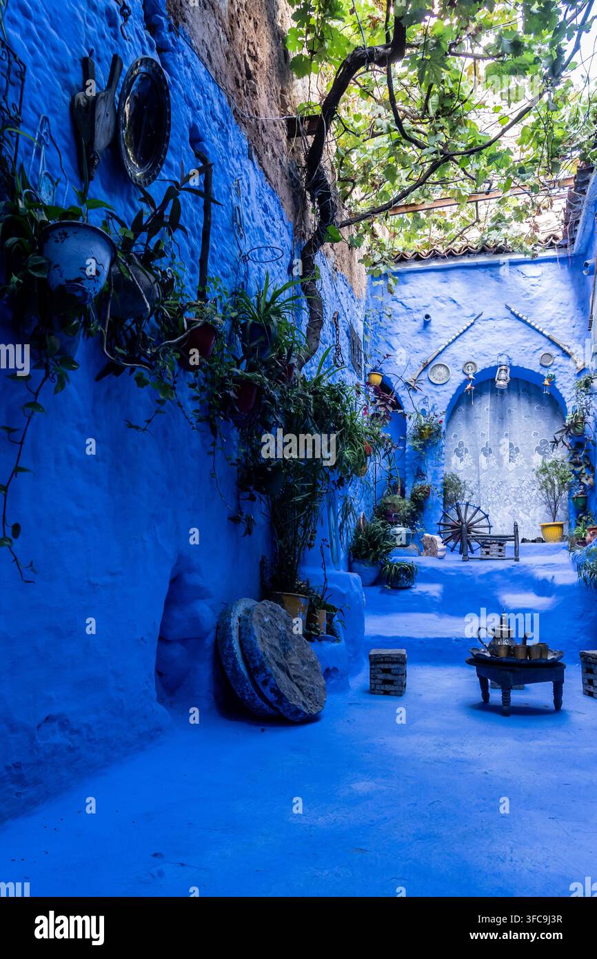 Un piccolo cortile colorato di blu a Chefchaouen, Marocco. Foto Stock