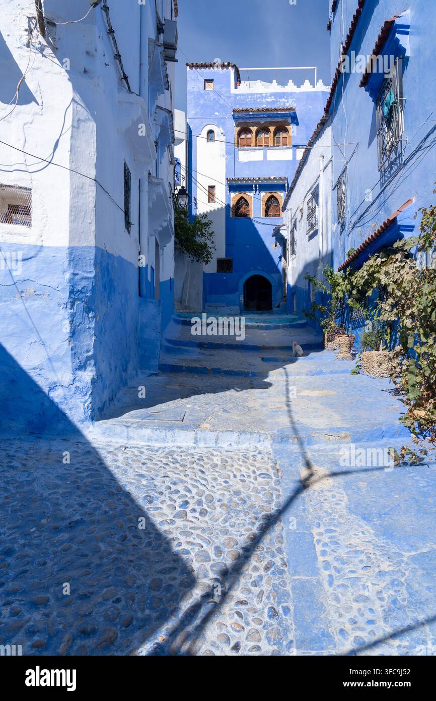 Un vicolo dipinto di blu a Chefchaouen, Marocco. Chefchaouen è una piccola città soprannominata la "Città Blu". Foto Stock