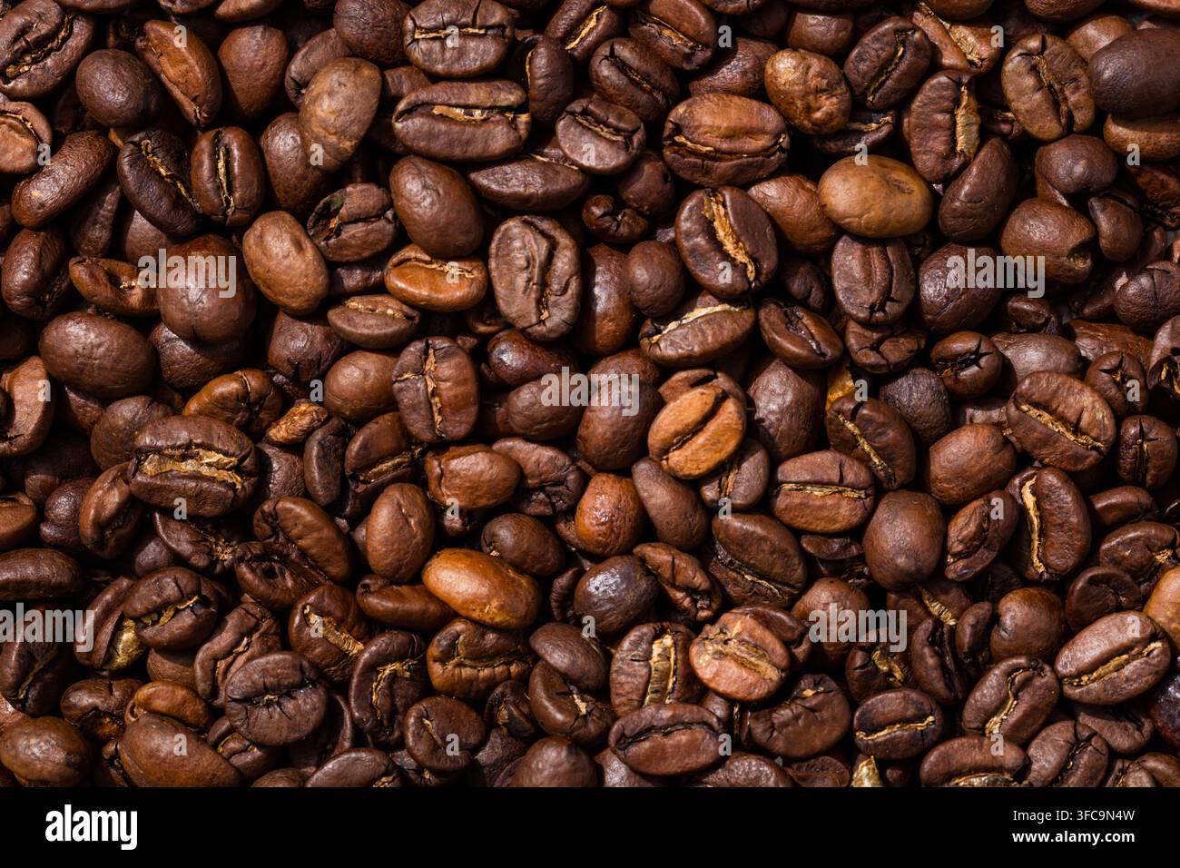 Grani di caffè crudi biologici essiccati all'espresso in un mucchio Foto Stock