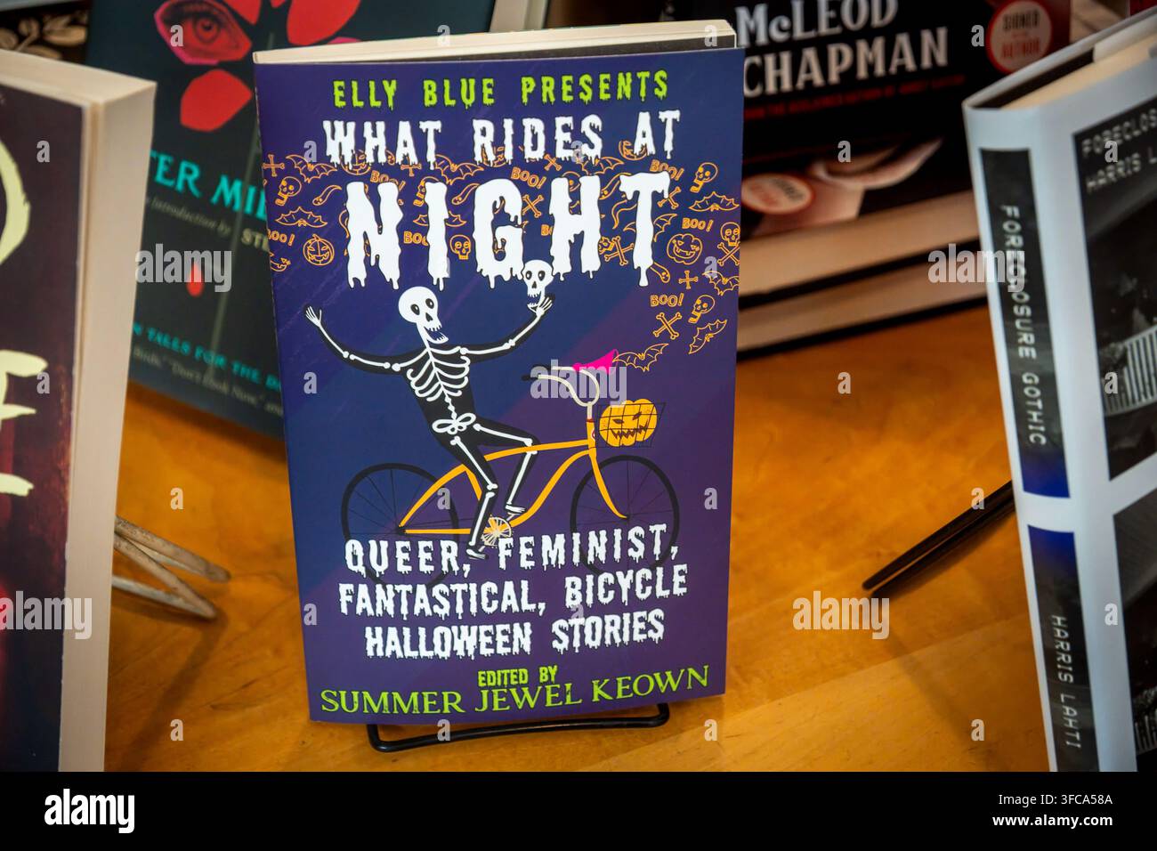 La copertina blu del libro presenta una figura scheletrica in bicicletta, con un'audace tipografia che mostra ciò che gira di notte e un sottotitolo che fa riferimento a queer fem Foto Stock