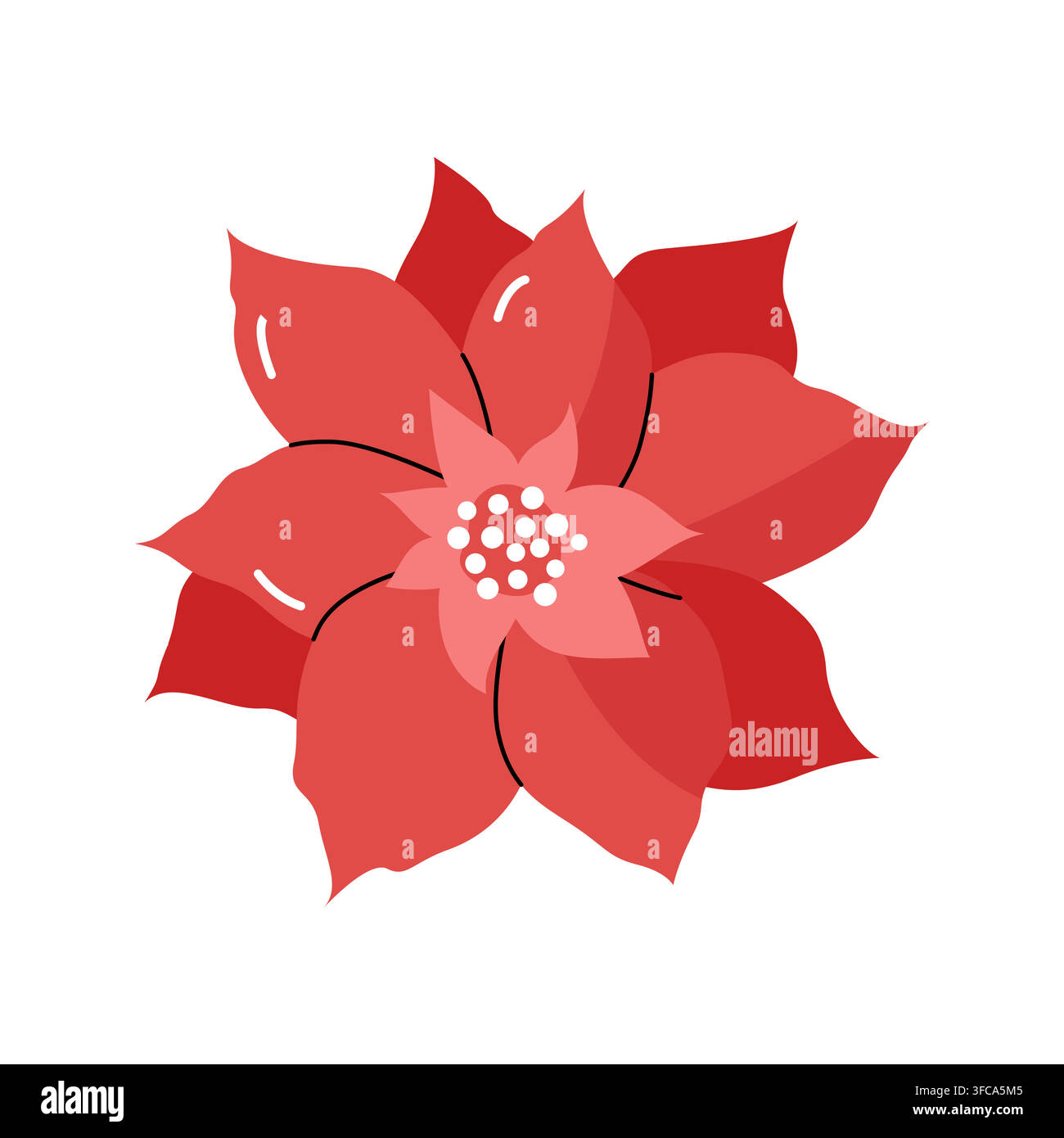 Fiore di poinsettia rosso stella di Natale isolato su sfondo bianco piatto Illustrazione Vettoriale