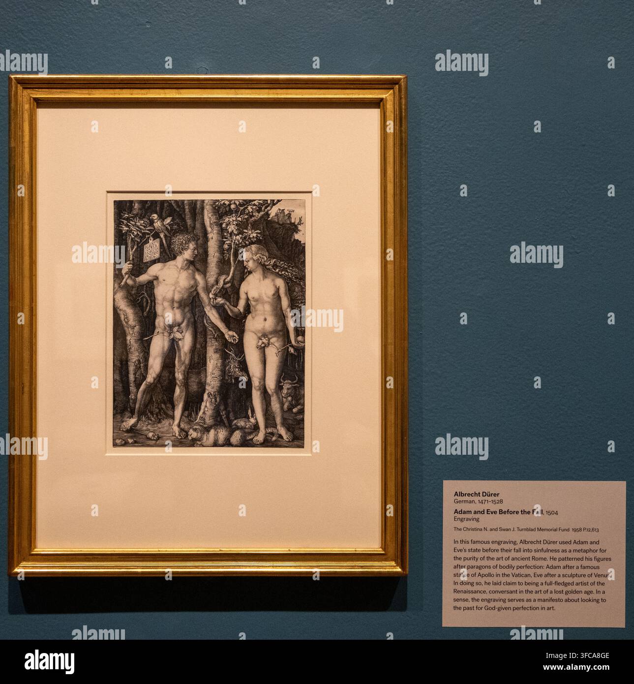 Minneapolis, MN - 23 ago 25: Incisione di Albrecht Durer Adam ed Eva prima della Caduta esposta al Minneapolis Institute of Art. Foto Stock