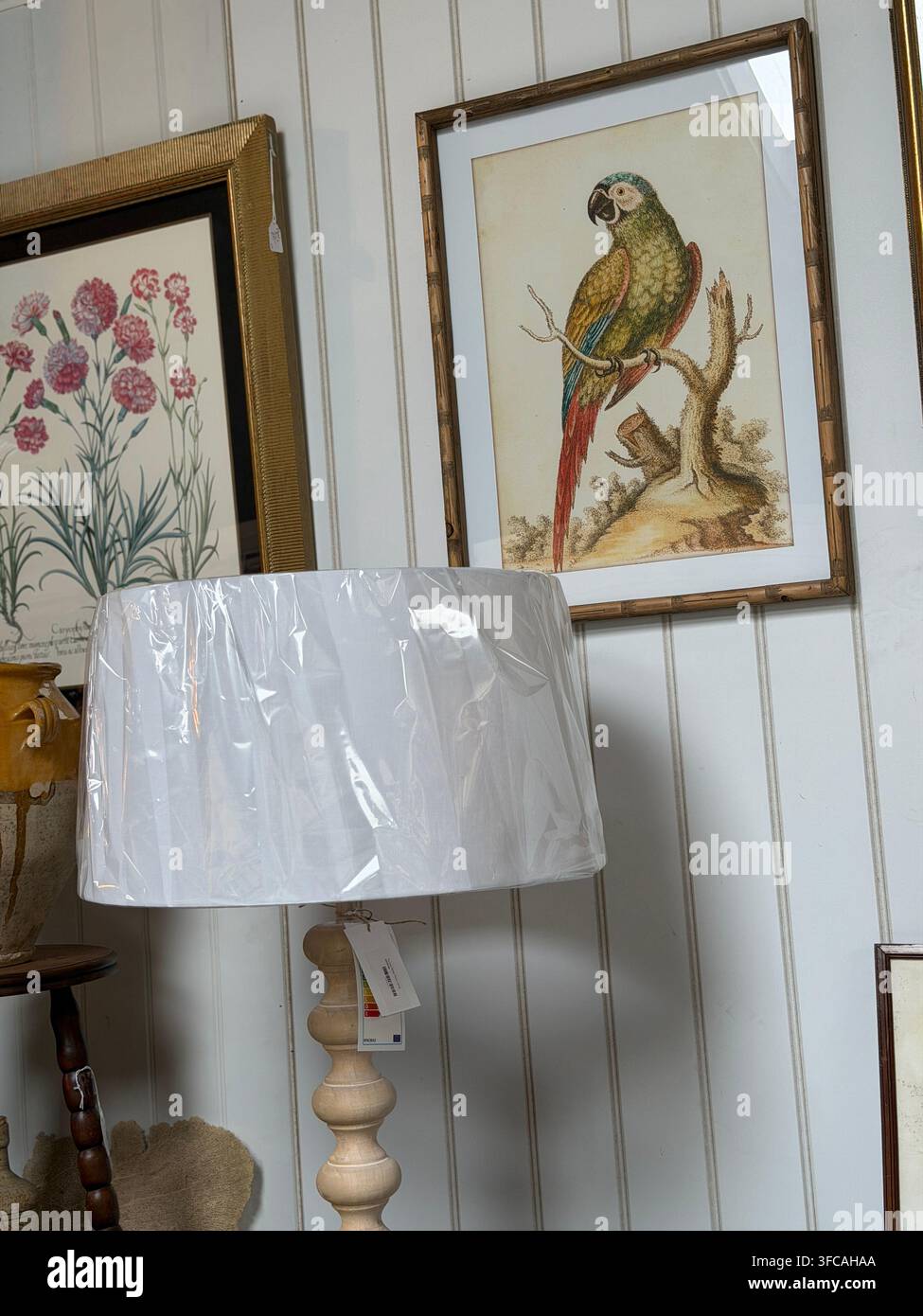 Illustrazione incorniciata in stile vintage di un pappagallo verde esposta presso HUDSON’S Home & Antiques a Stratford-upon-Avon, Warwickshire, Inghilterra, Regno Unito. Foto Stock