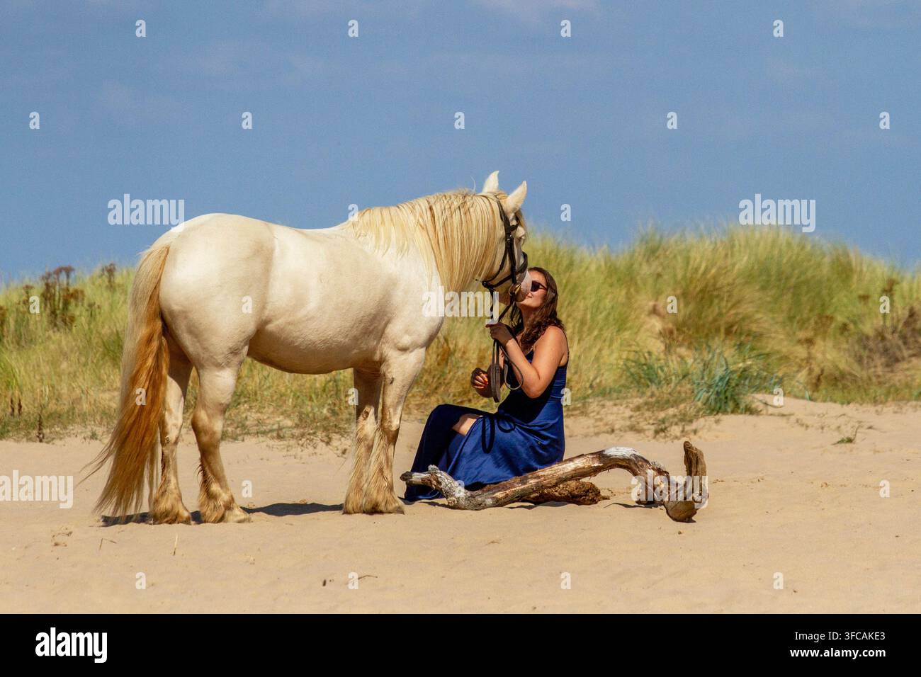 Una giovane donna in un abito da sera blu scuro conduce un cavallo bianco lungo una spiaggia sabbiosa sotto un cielo estivo luminoso. Southport, Regno Unito. Foto Stock