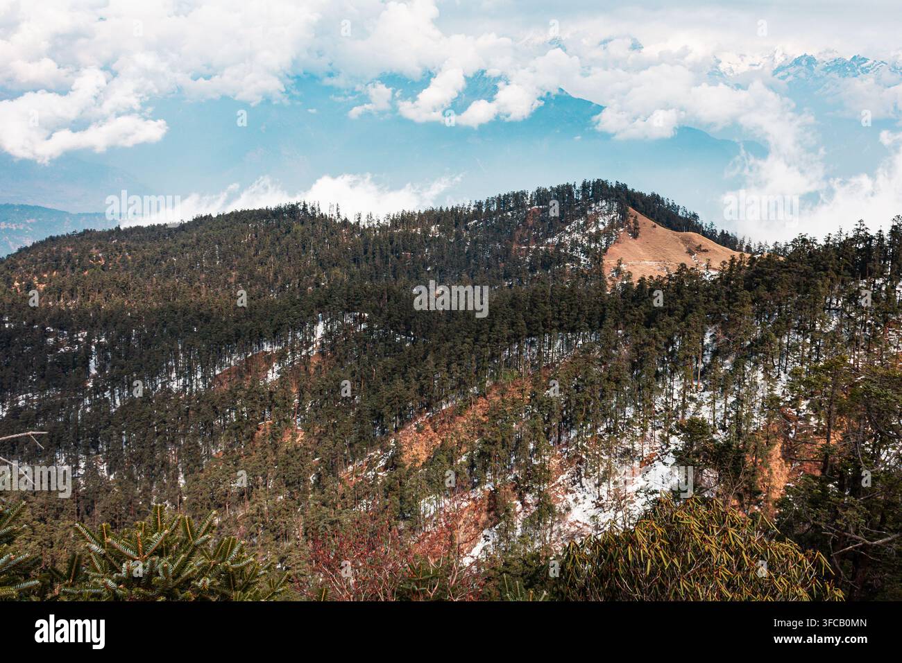 Gli alberi di pino coprono una cresta ricoperta di neve a chiazze vicino a Tutwan, nuvole che si muovono nel cielo con montagne lontane oltre. Foto Stock
