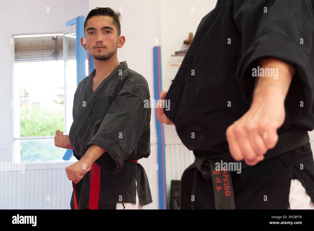 Studente di Hapkido che impara tecniche di arti marziali Foto Stock