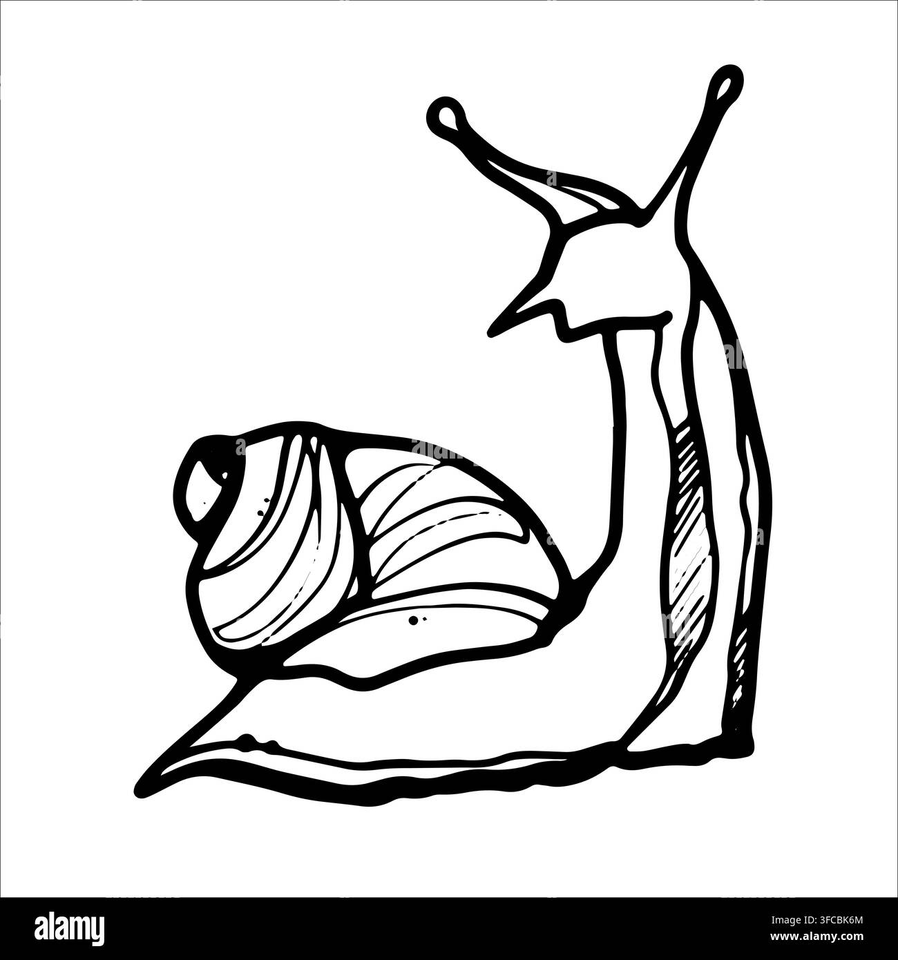 Lumaca Achatina. Lumaca strisciante. Animale lento. Guscio. Usato in cosmetologia. Illustrazione grafica a contorno. Disegnato a mano Illustrazione Vettoriale