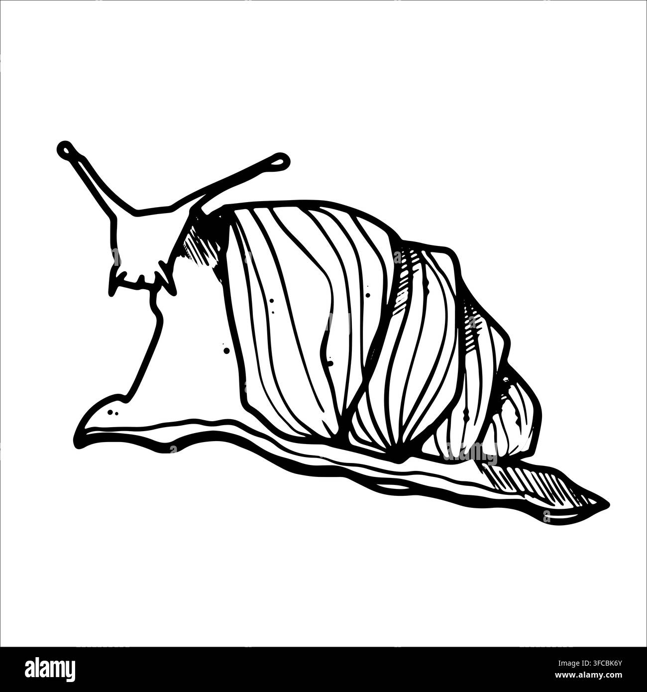 Lumaca Achatina. Lumaca strisciante. Animale lento. Guscio. Usato in cosmetologia. Illustrazione grafica a contorno. Disegnato a mano Illustrazione Vettoriale