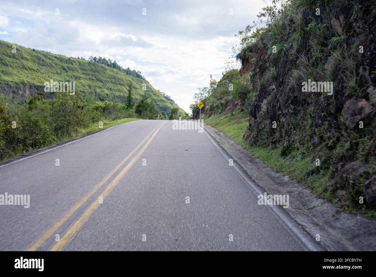 Strada di montagna rurale che si snoda attraverso pendici verdi vibranti e scogliere rocciose, asfalto vuoto che si curva verso l'orizzonte con un cartello di avvertimento per una curva gialla un Foto Stock
