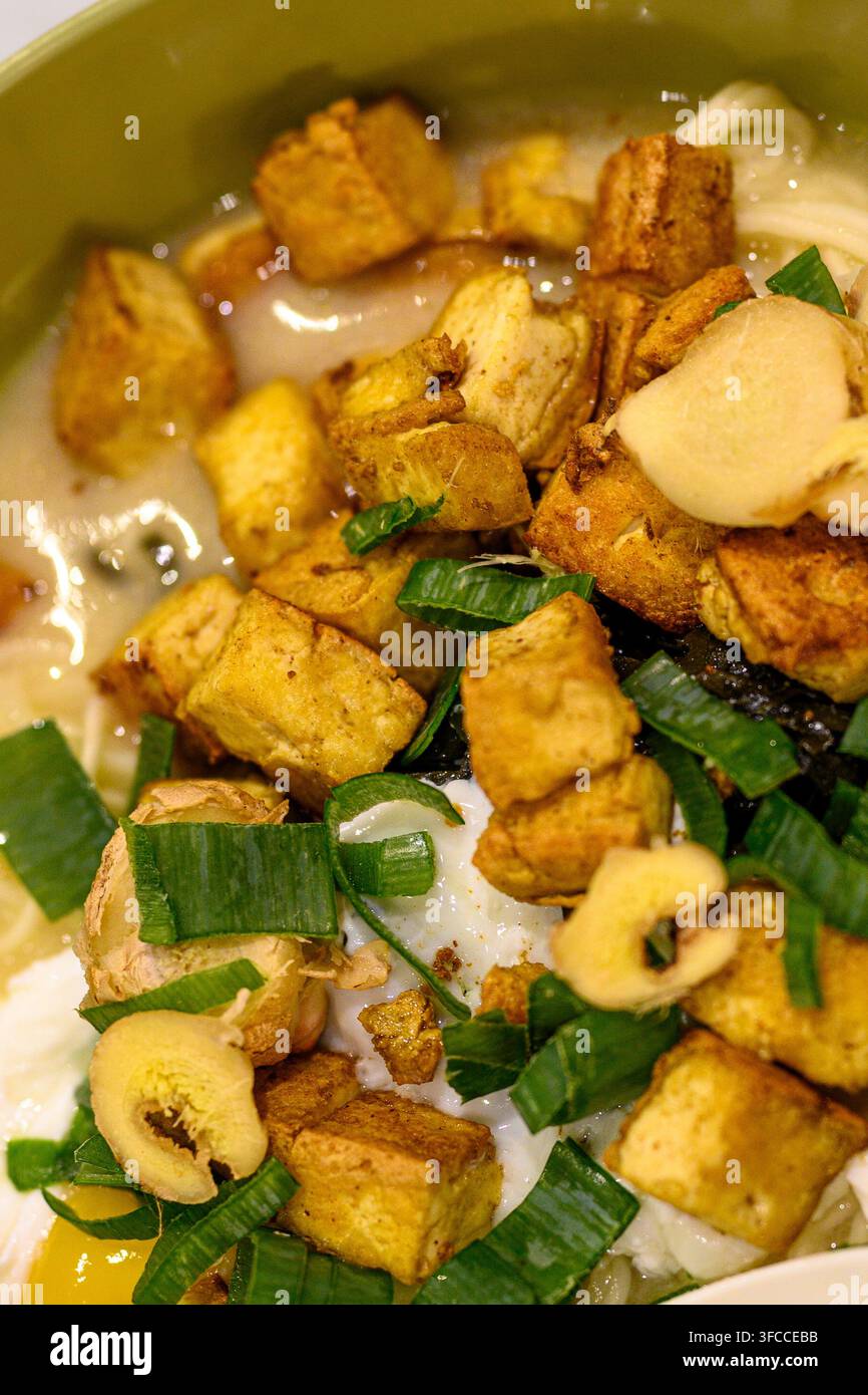 Cubi di tofu fritti galleggiano in un brodo cremoso. Le cipolline verdi aggiungono freschezza al piatto. I pezzi dorati sembrano croccanti e saporiti. Il vapore si alza dolcemente dal th Foto Stock