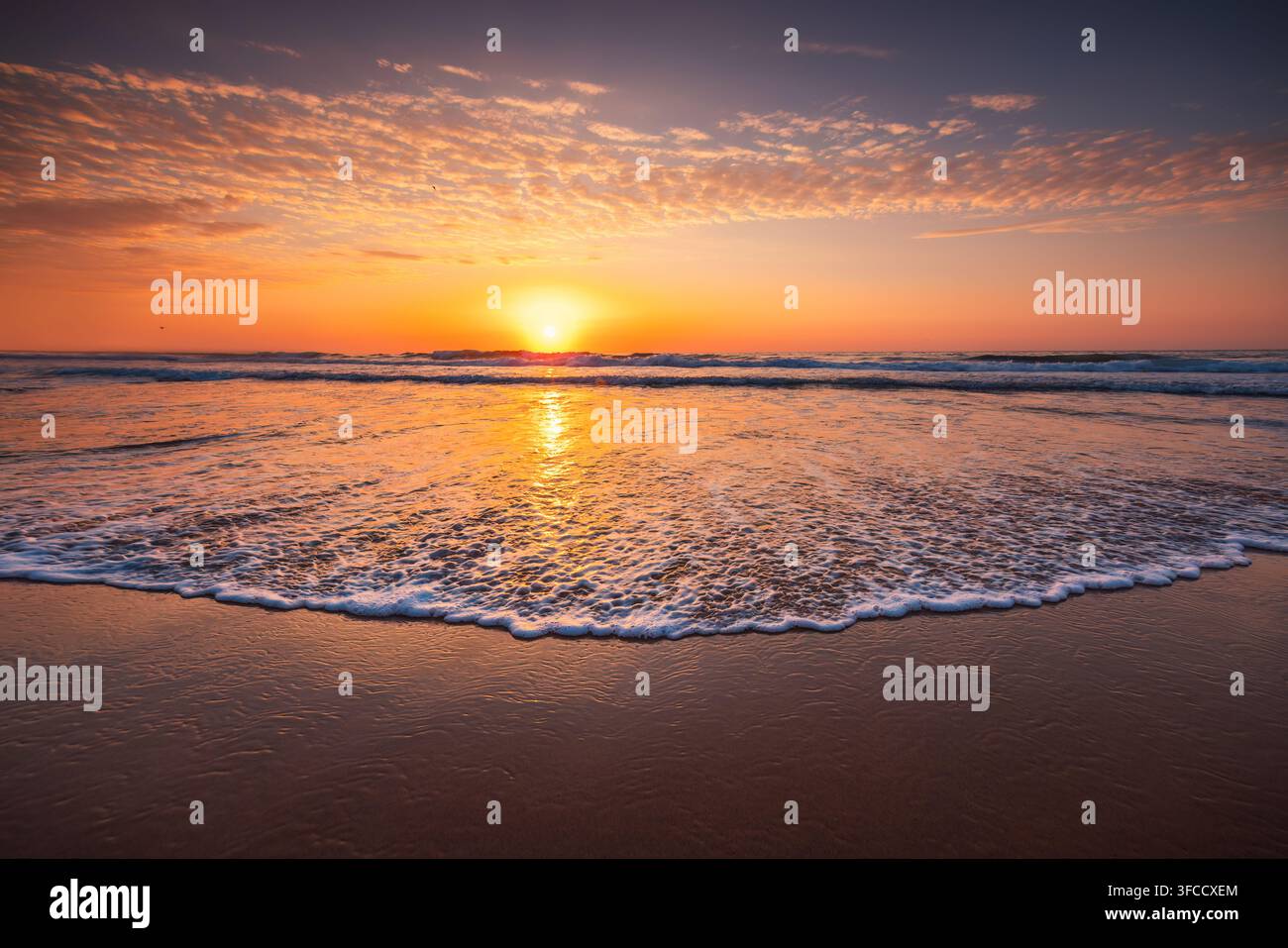 Tramonto dorato sull'oceano sopra una spiaggia sabbiosa con onde gentili e acqua schiumosa Foto Stock