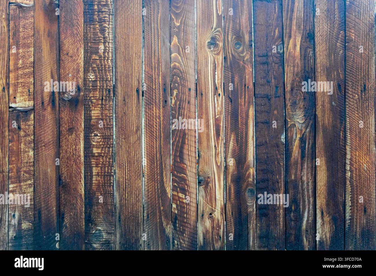 Una recinzione marrone scuro consumata fatta di assi di legno verticali con un piccolo spazio tra di loro. La venatura del legno e i punti di fissaggio dei chiodi sono visibili. Foto Stock